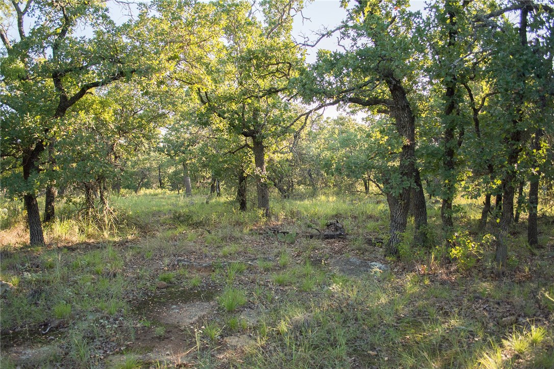 1020 Post Oak Road Gordon TX 76453