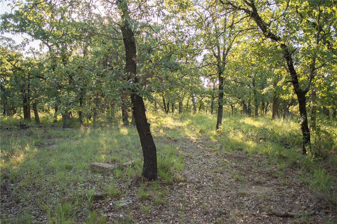 1020 Post Oak Road Gordon TX 76453