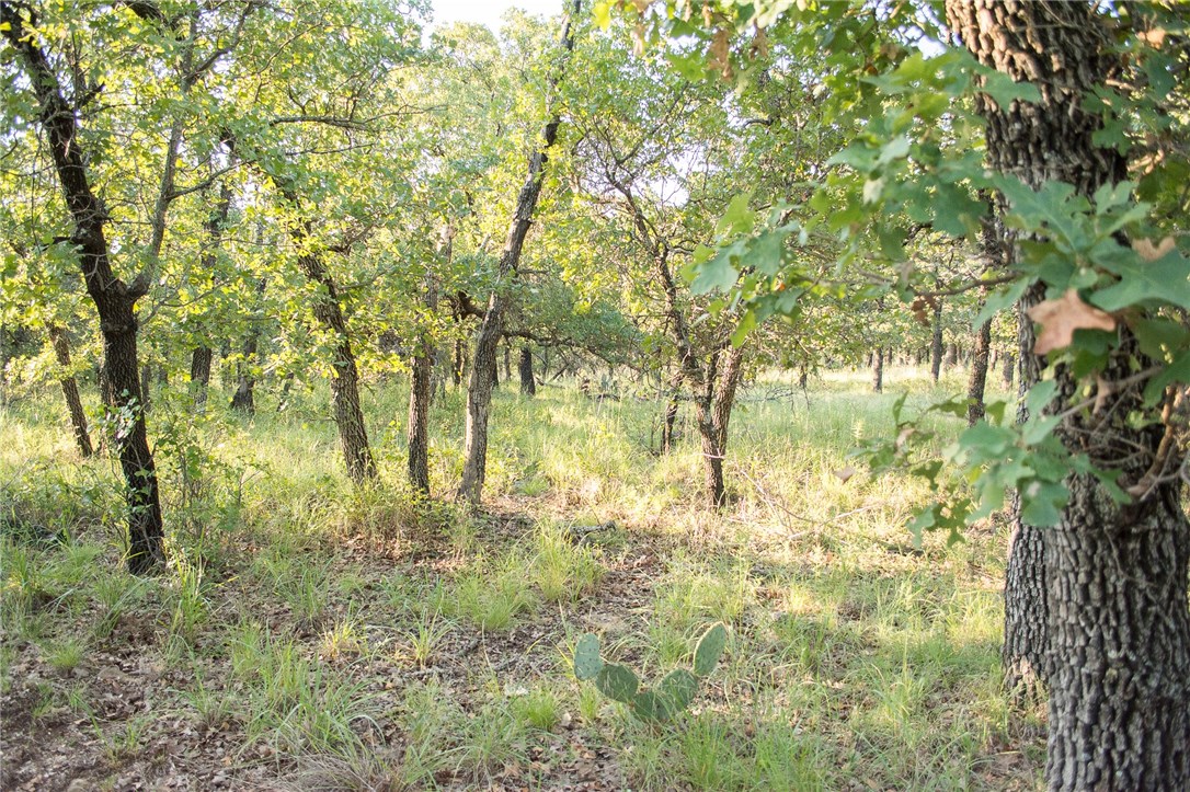 1020 Post Oak Road Gordon TX 76453