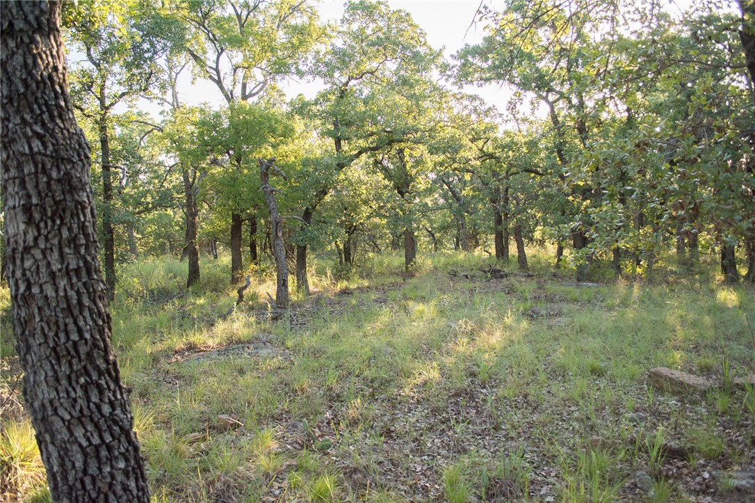 1020 Post Oak Road Gordon TX 76453
