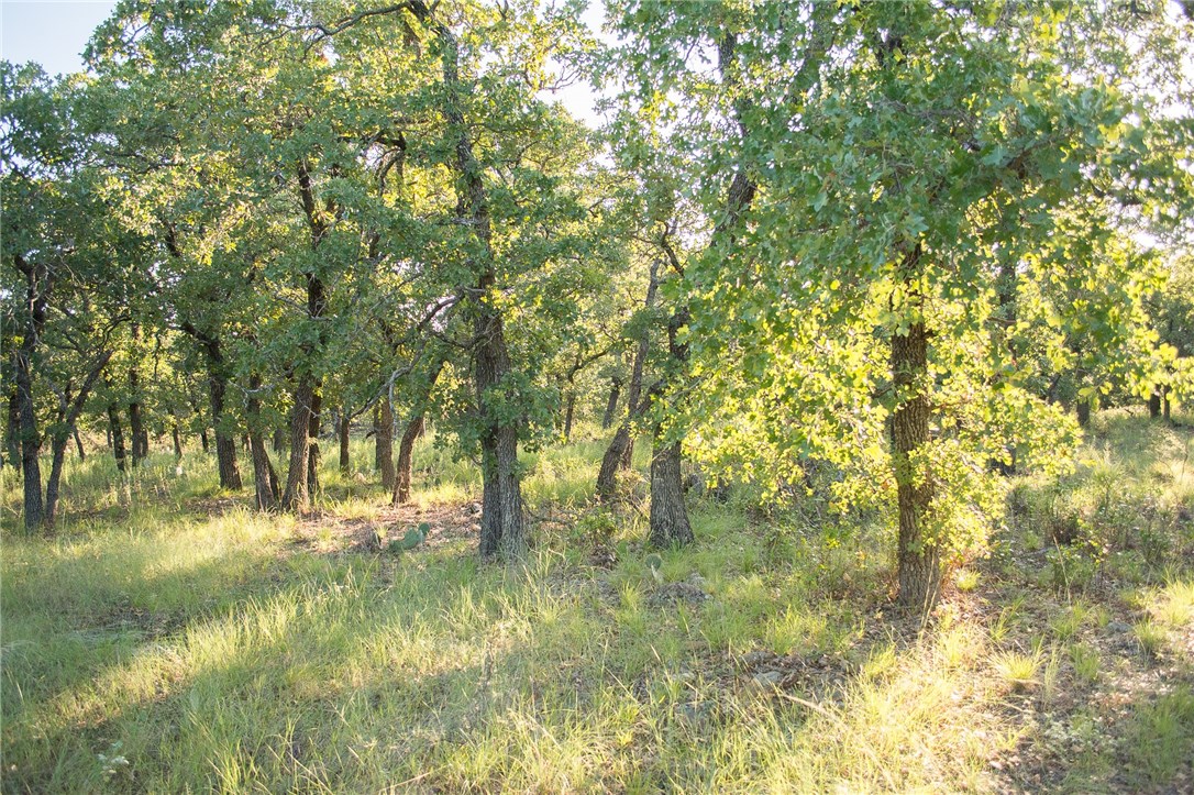1020 Post Oak Road Gordon TX 76453