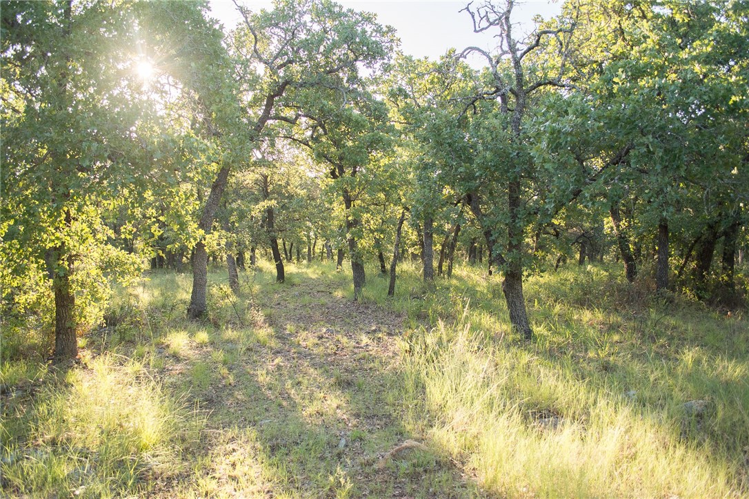 1020 Post Oak Road Gordon TX 76453