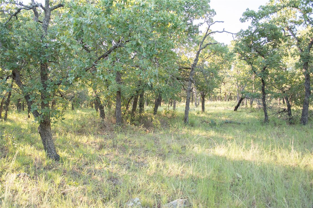 1020 Post Oak Road Gordon TX 76453