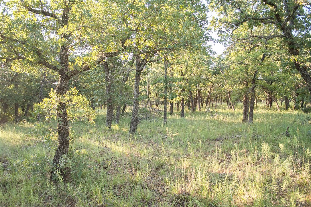 1020 Post Oak Road Gordon TX 76453