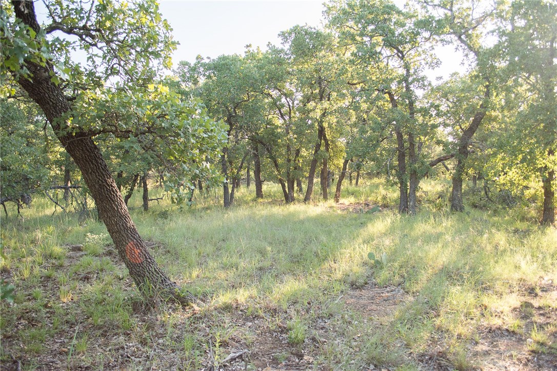 1020 Post Oak Road Gordon TX 76453