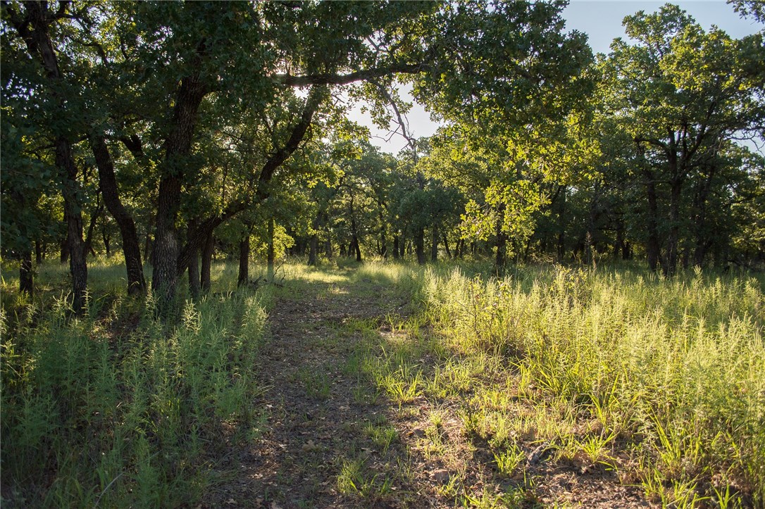 1020 Post Oak Road Gordon TX 76453