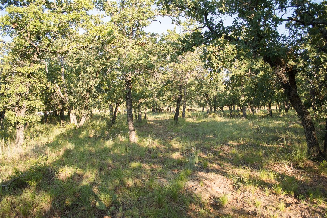 1020 Post Oak Road Gordon TX 76453