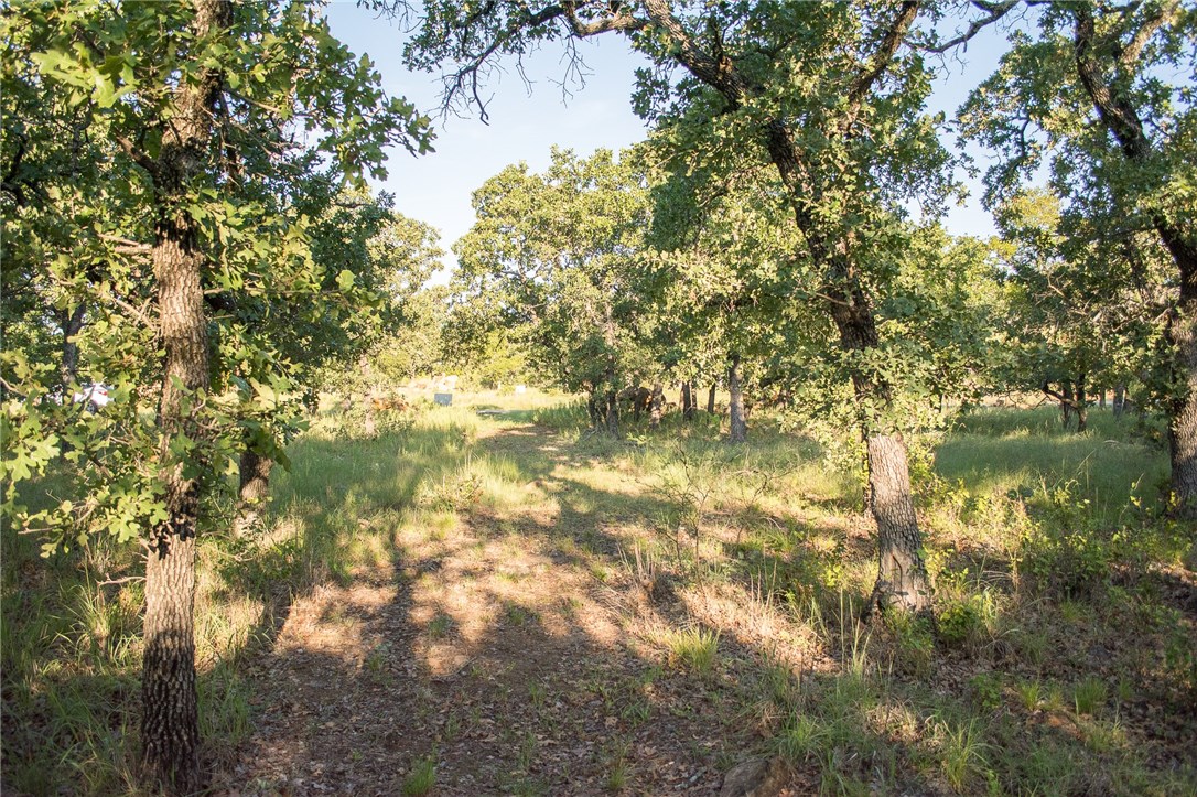 1020 Post Oak Road Gordon TX 76453