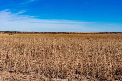 Cr 110 Sylvester TX 79560