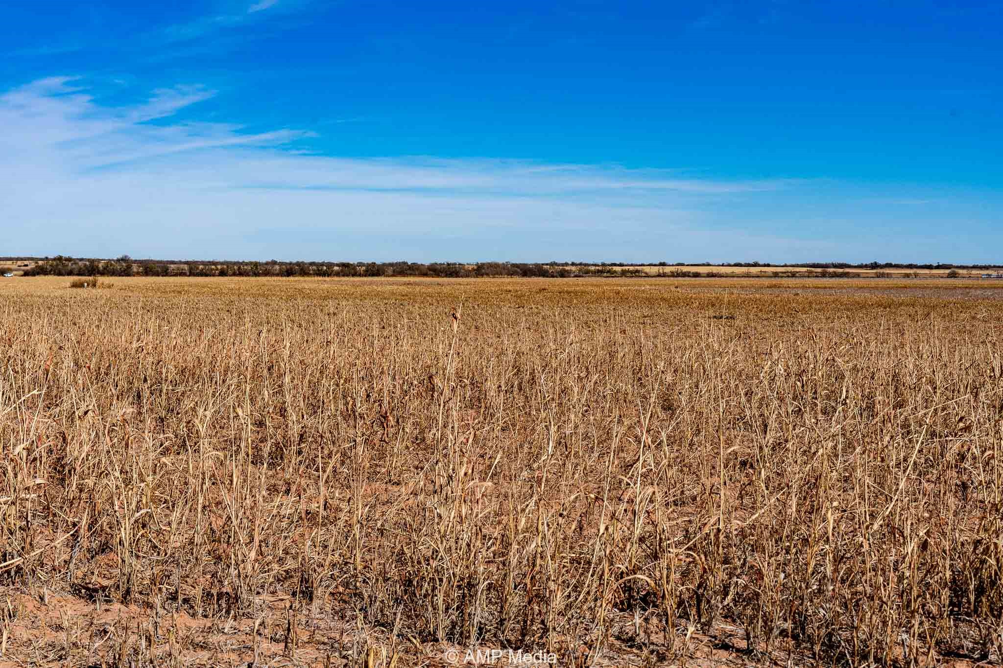 Cr 110 Sylvester TX 79560
