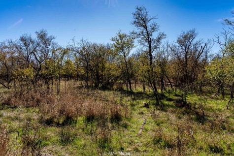 Cr 110 Sylvester TX 79560