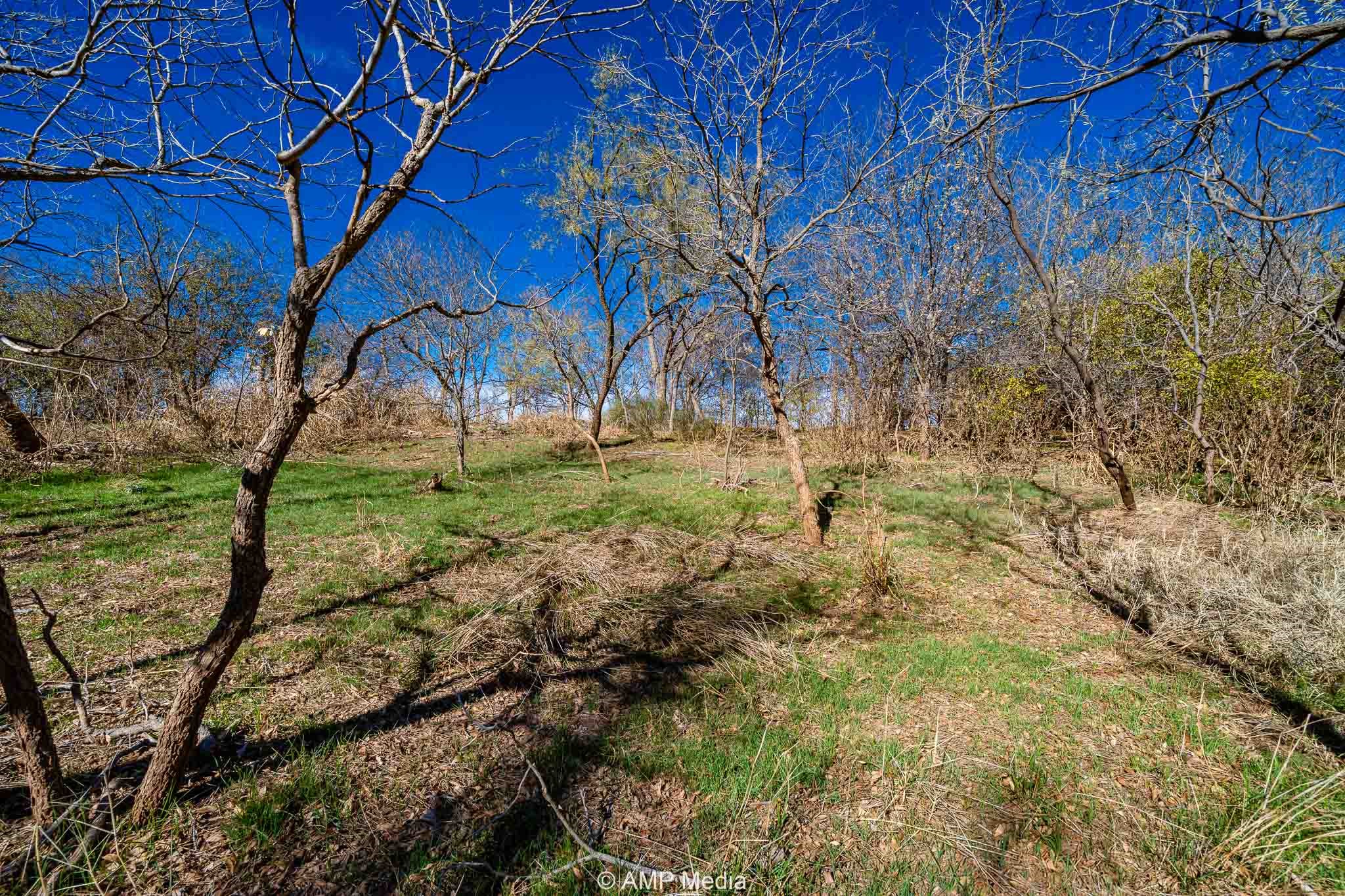 Cr 110 Sylvester TX 79560