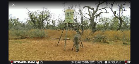 Cr 110 Sylvester TX 79560