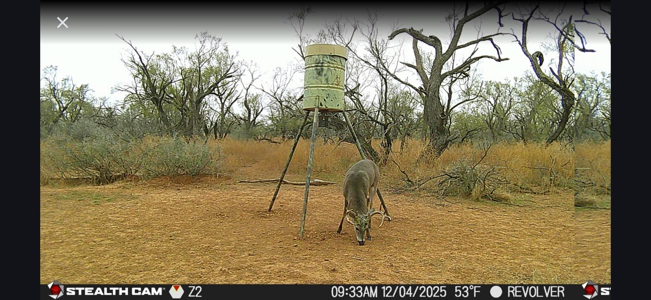 Cr 110 Sylvester TX 79560