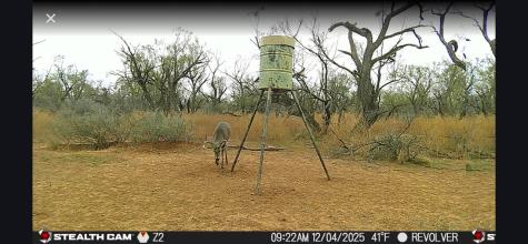 Cr 110 Sylvester TX 79560