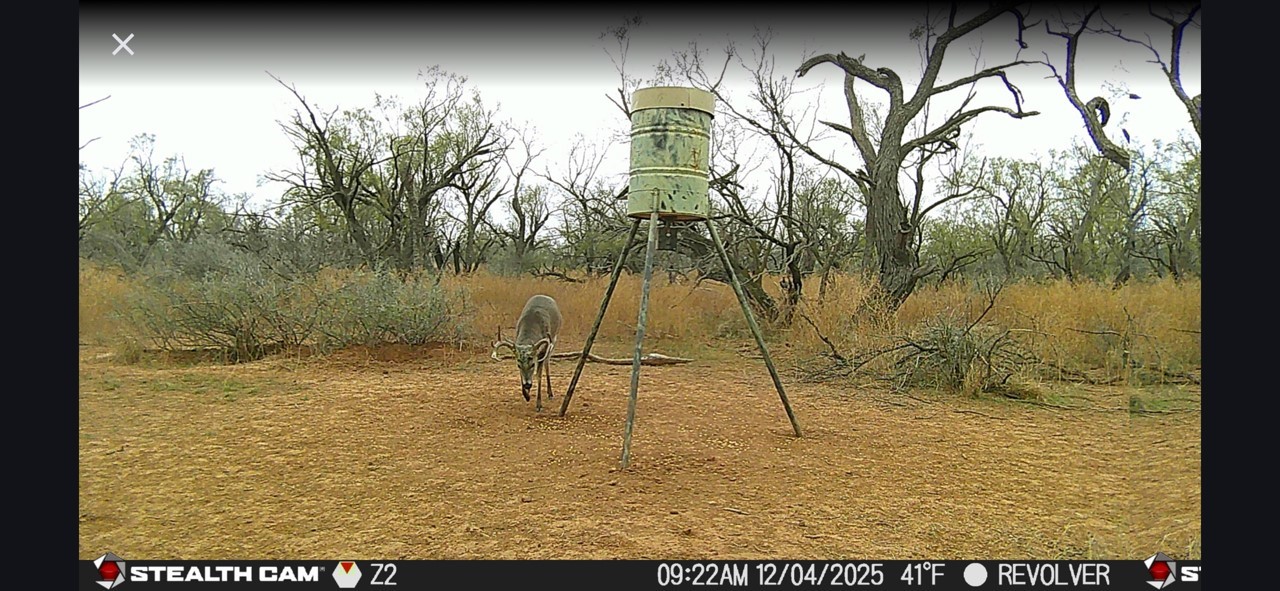 Cr 110 Sylvester TX 79560
