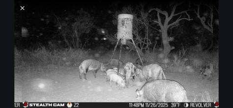 CR 110 Sylvester TX 79560