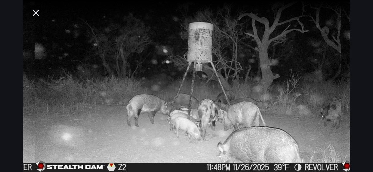 Cr 110 Sylvester TX 79560