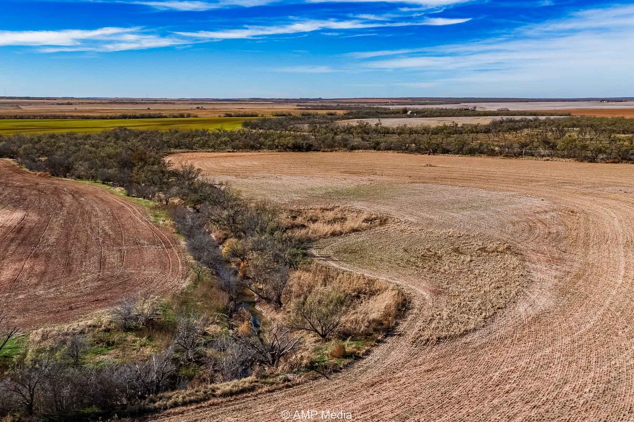 Cr 110 Sylvester TX 79560