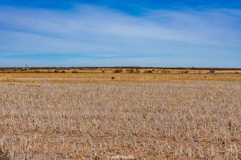 Cr 110 Sylvester TX 79560