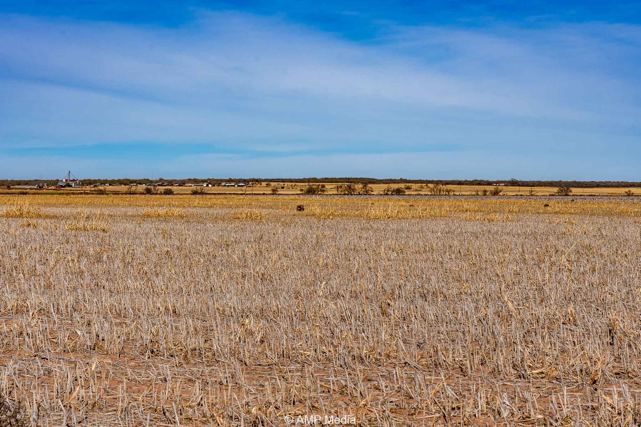 Cr 110 Sylvester TX 79560