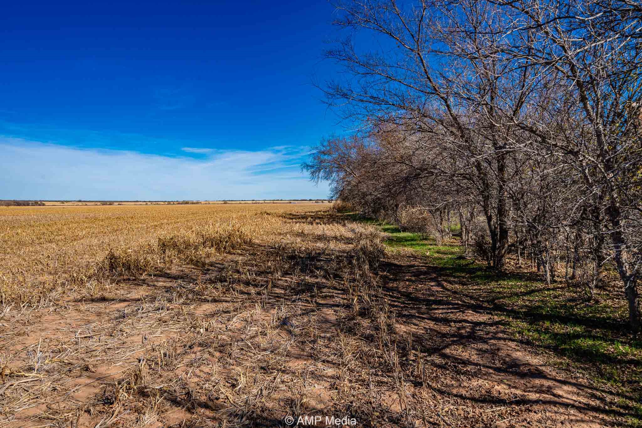 Cr 110 Sylvester TX 79560