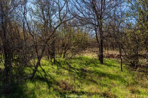 Cr 110 Sylvester TX 79560