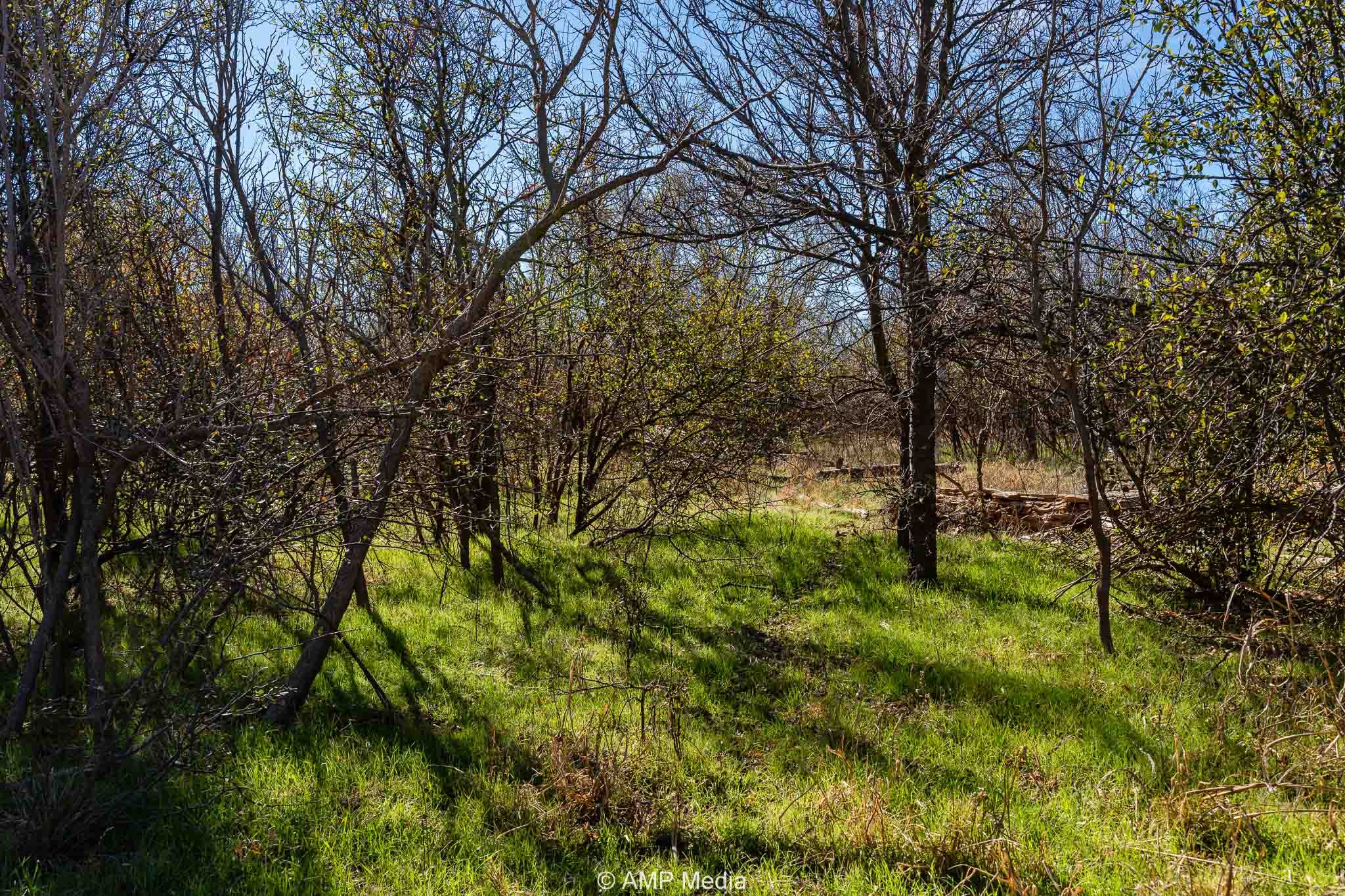 Cr 110 Sylvester TX 79560