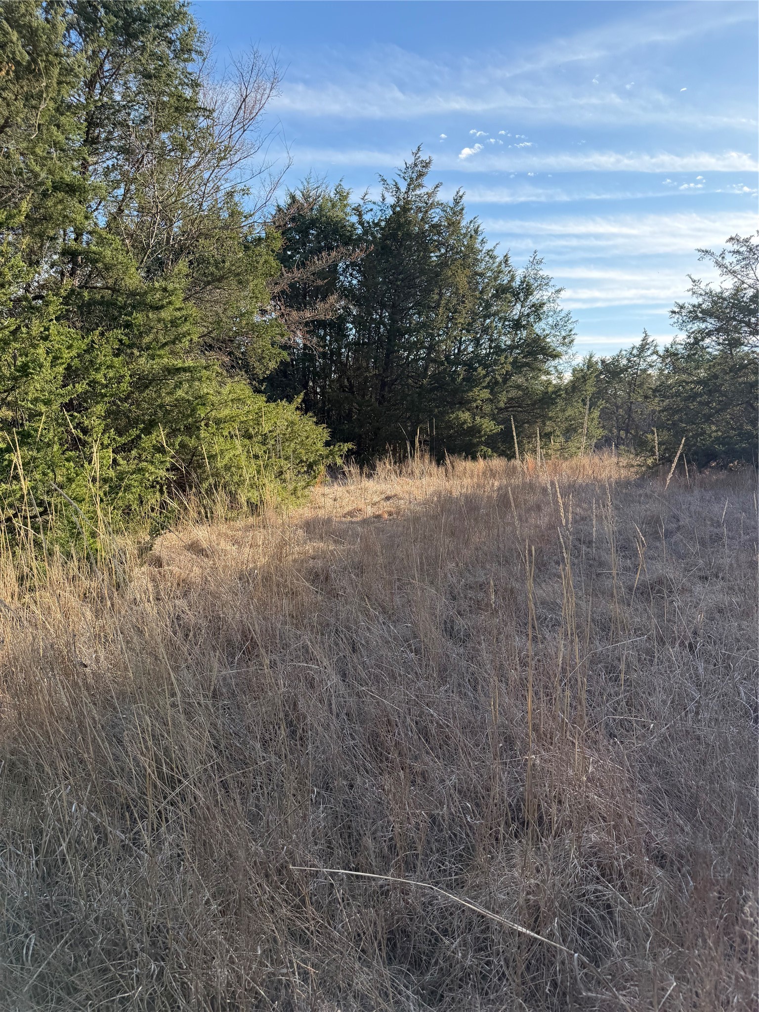 3117 County Road 2130 Corsicana TX 75109