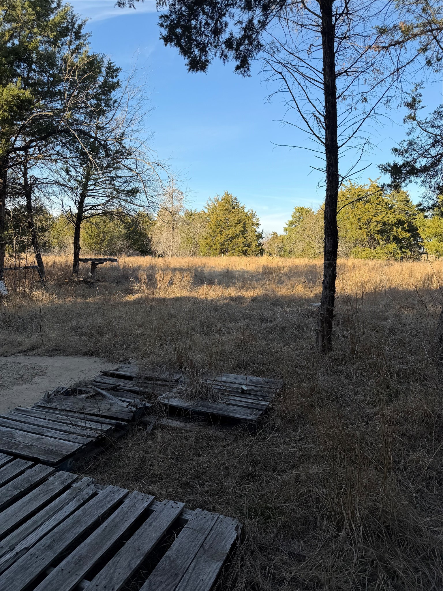 3117 County Road 2130 Corsicana TX 75109