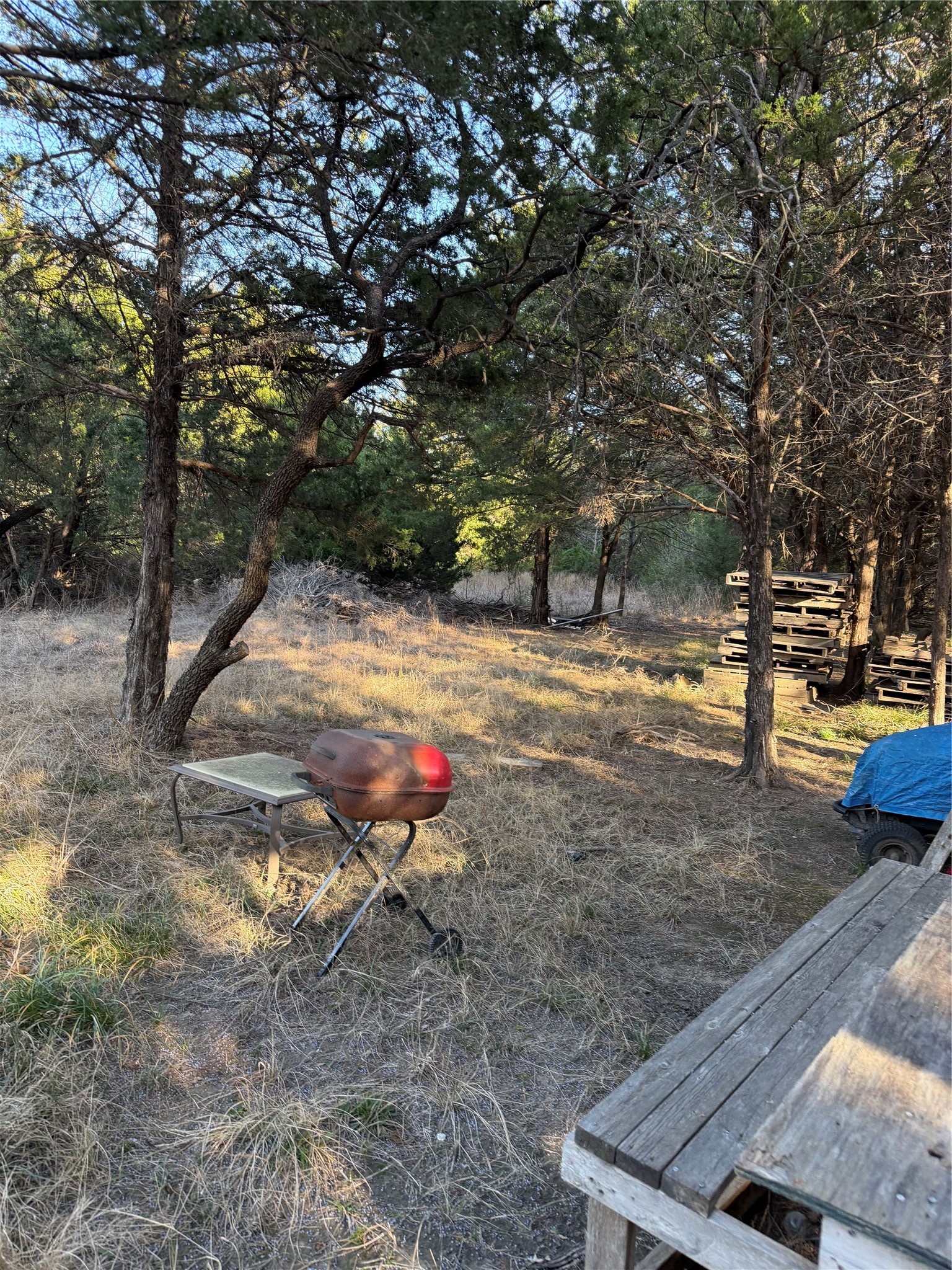 3117 County Road 2130 Corsicana TX 75109