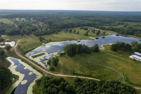 Lake Country (Lot 5) TX-77 Atlanta TX 75551