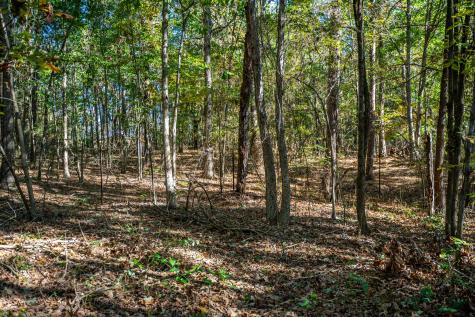 000 County Road 4105 Daingerfield TX 75638