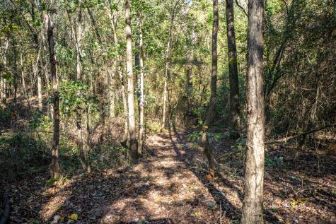 000 County Road 4105 Daingerfield TX 75638