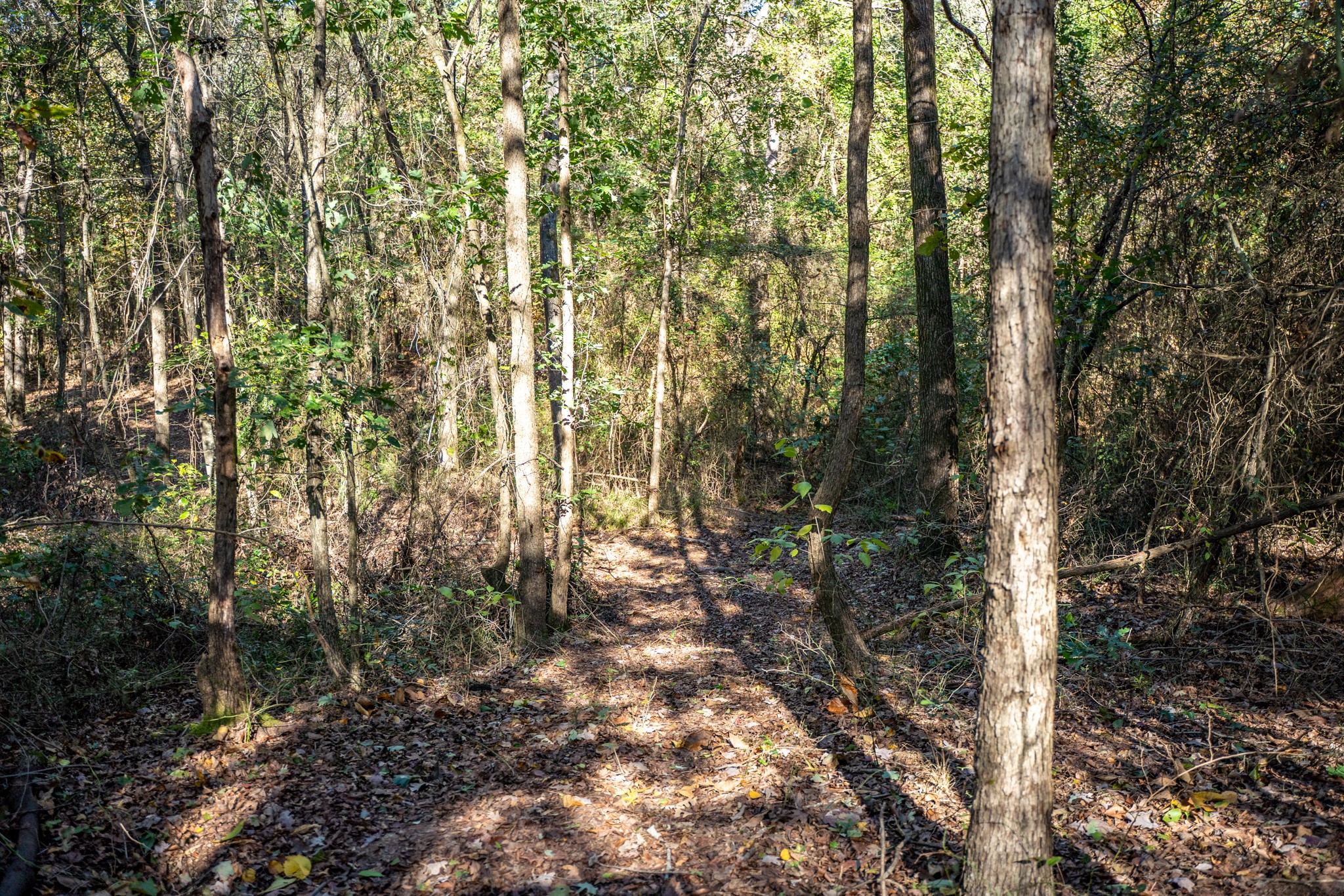 000 County Road 4105 Daingerfield TX 75638
