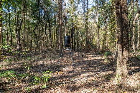 000 County Road 4105 Daingerfield TX 75638