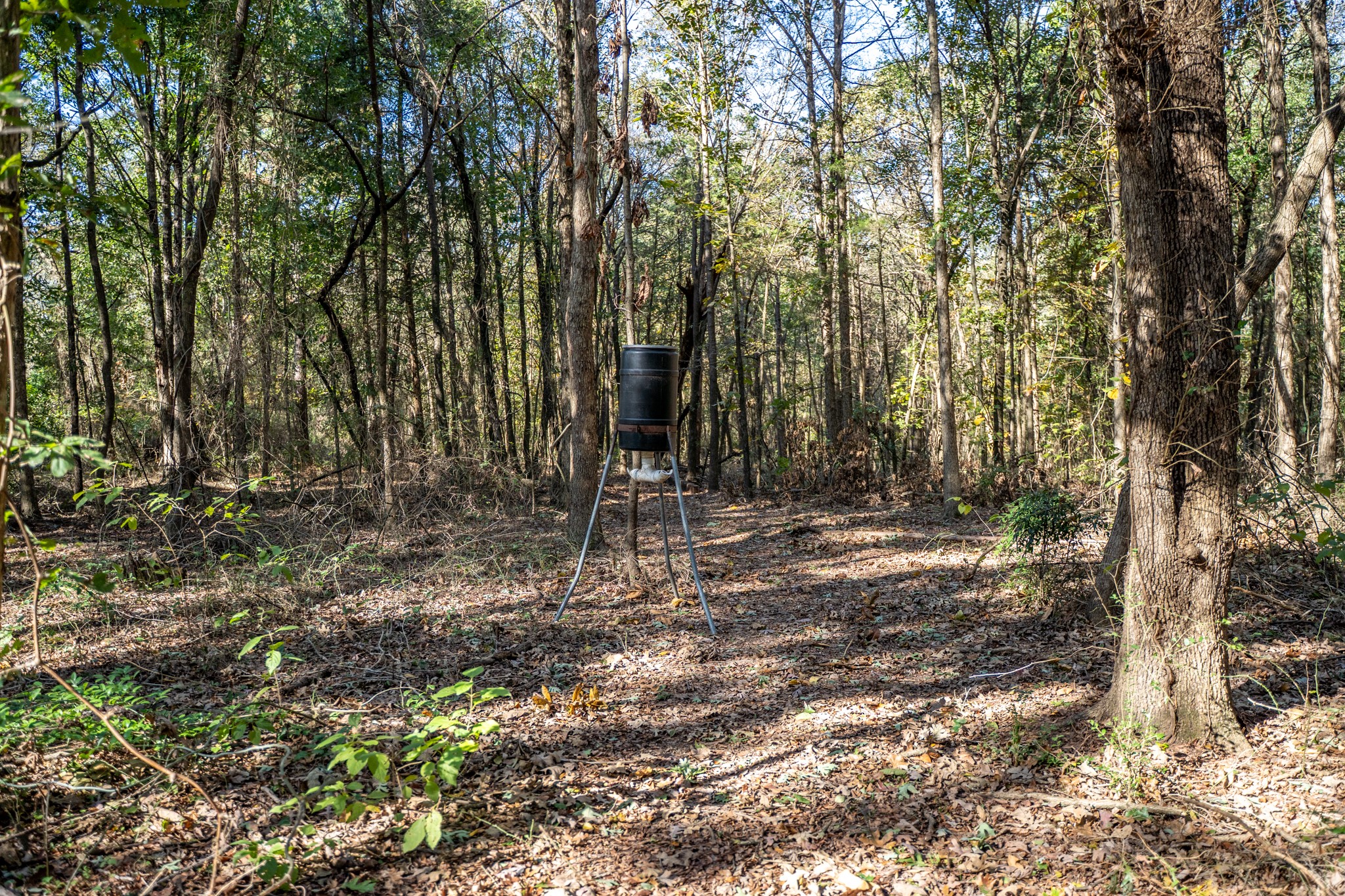 000 County Road 4105 Daingerfield TX 75638