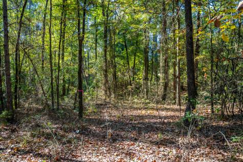 000 County Road 4105 Daingerfield TX 75638