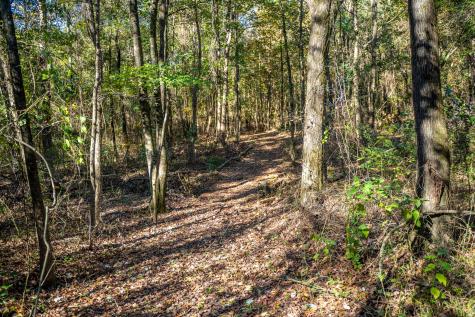 000 County Road 4105 Daingerfield TX 75638
