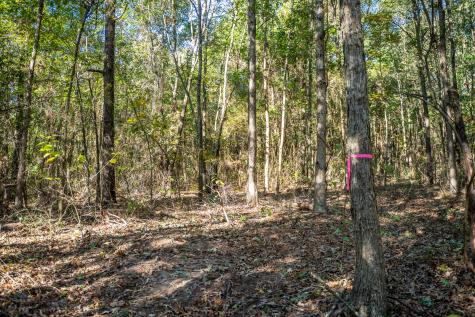 000 County Road 4105 Daingerfield TX 75638