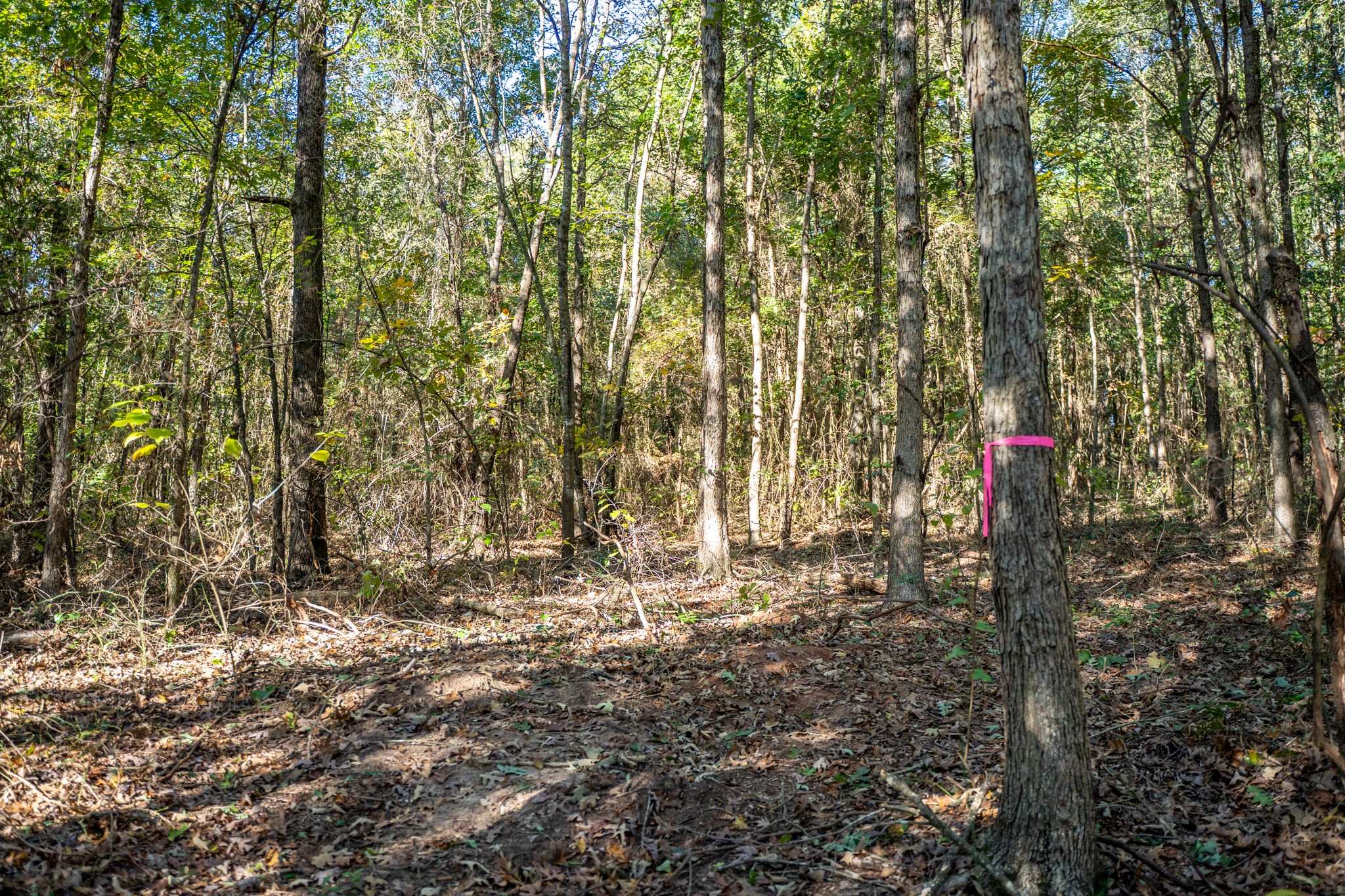 000 County Road 4105 Daingerfield TX 75638