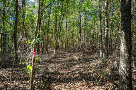 000 County Road 4105 Daingerfield TX 75638