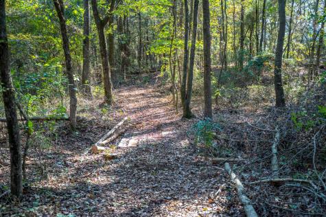 000 County Road 4105 Daingerfield TX 75638