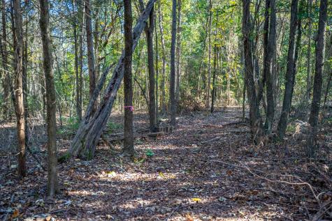 000 County Road 4105 Daingerfield TX 75638