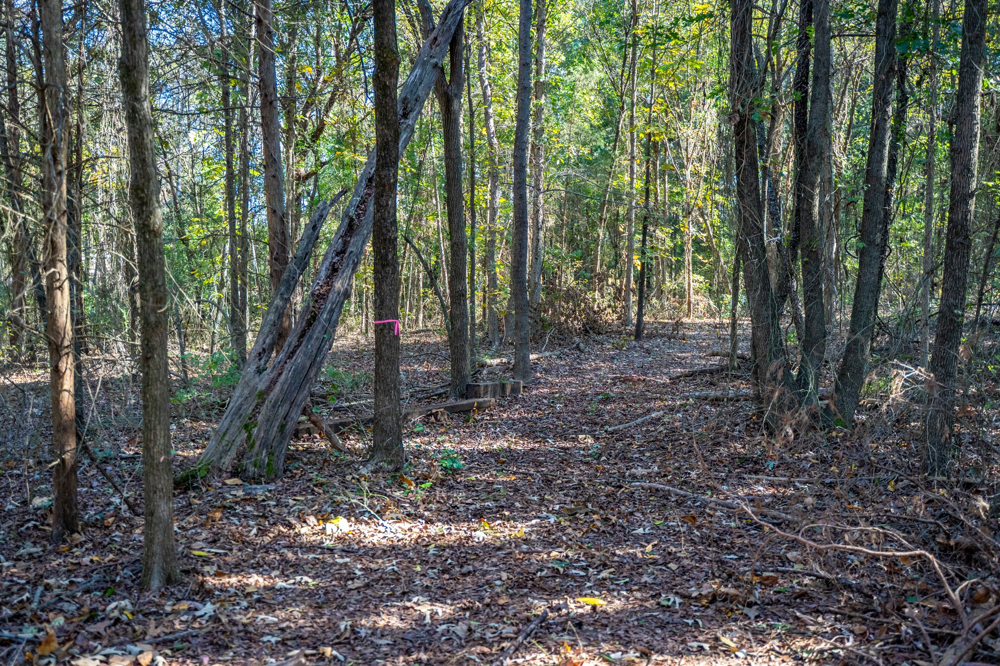 000 County Road 4105 Daingerfield TX 75638