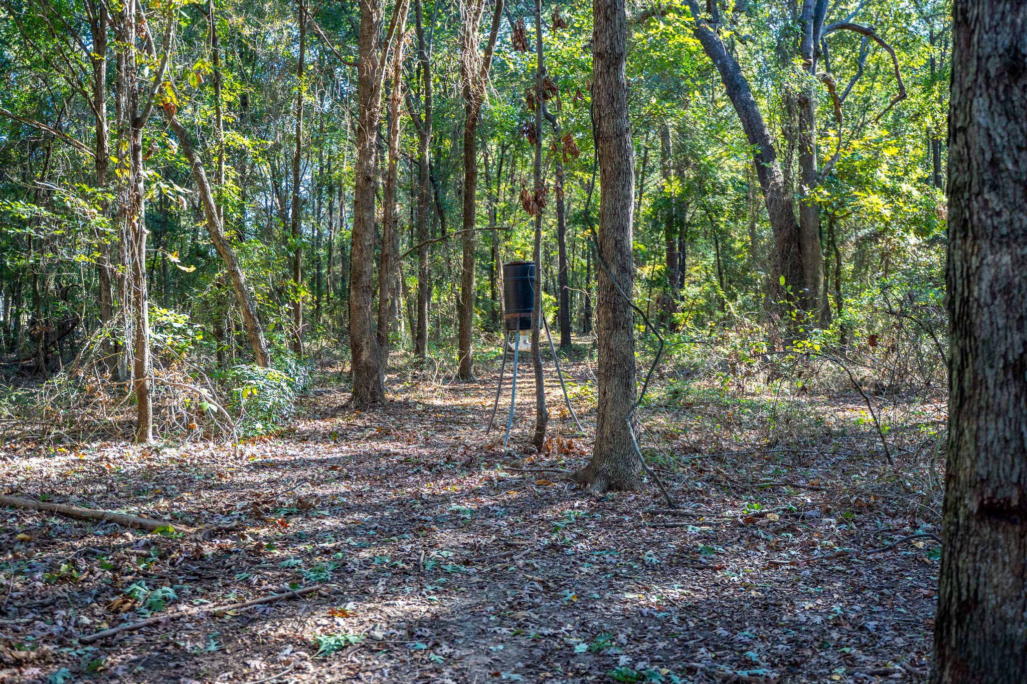 000 County Road 4105 Daingerfield TX 75638