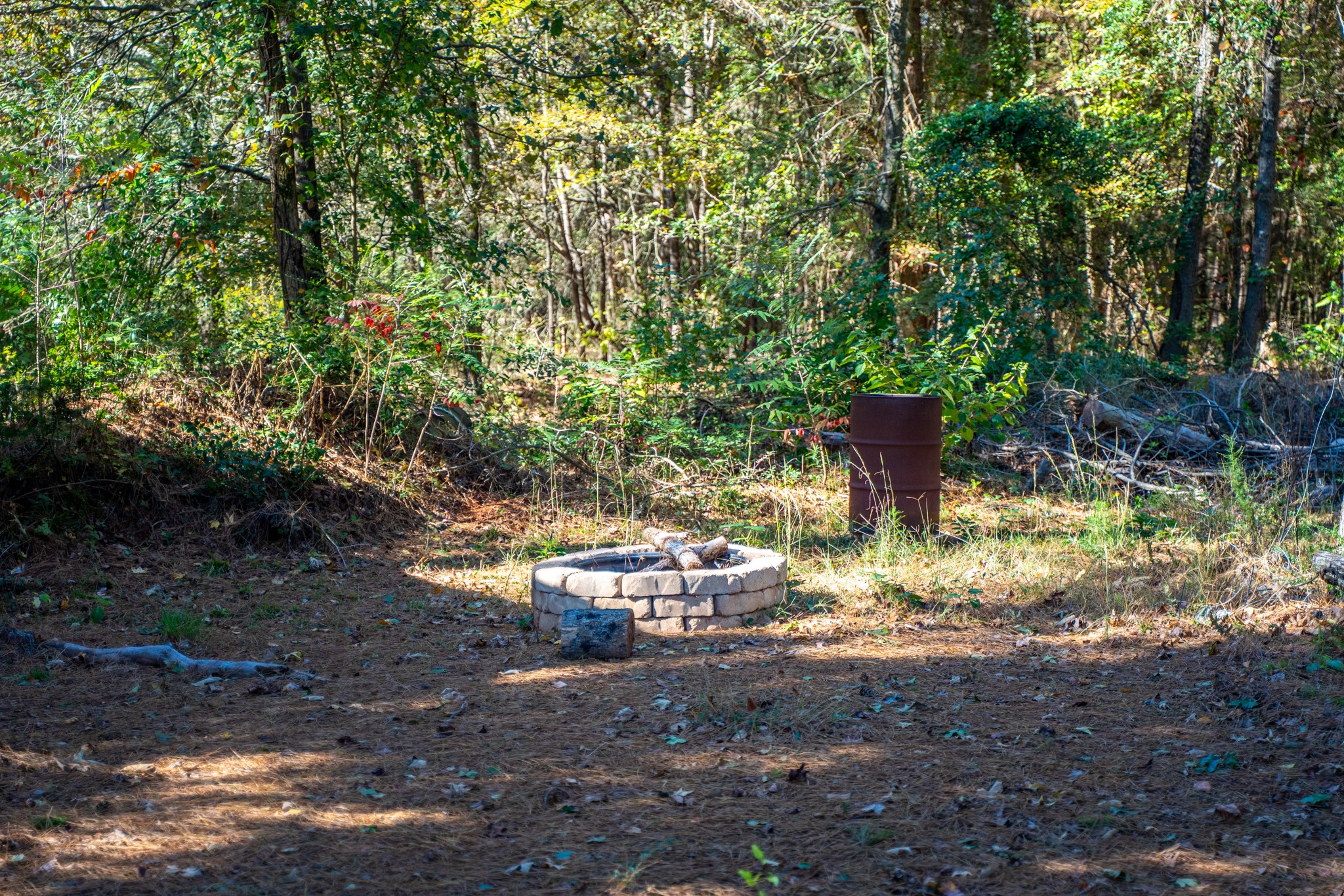 000 County Road 4105 Daingerfield TX 75638