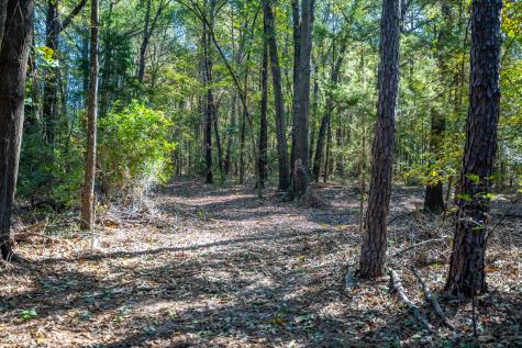 000 County Road 4105 Daingerfield TX 75638