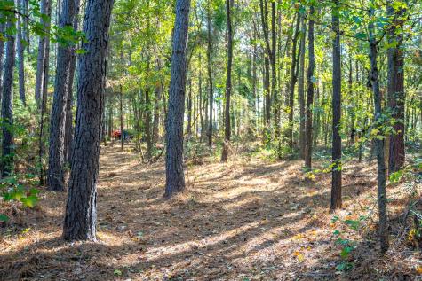000 County Road 4105 Daingerfield TX 75638