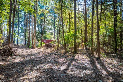 000 County Road 4105 Daingerfield TX 75638